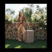 Obrazek Plastový kufr SUITSUIT® Fab Seventies Taupe L - hnědá - 91 L