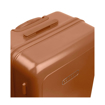 Obrazek Zestaw walizek podróżnych SUITSUIT TR-6257/2 Blossom Maroon Oak - 81 L / 31 L